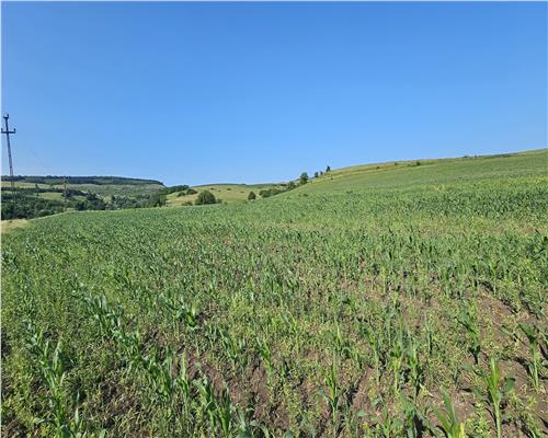TEREN INTRAVILAN 5800 MP SUCEAGU